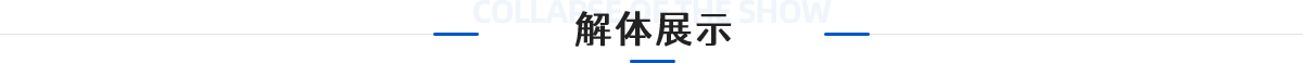 解体展示